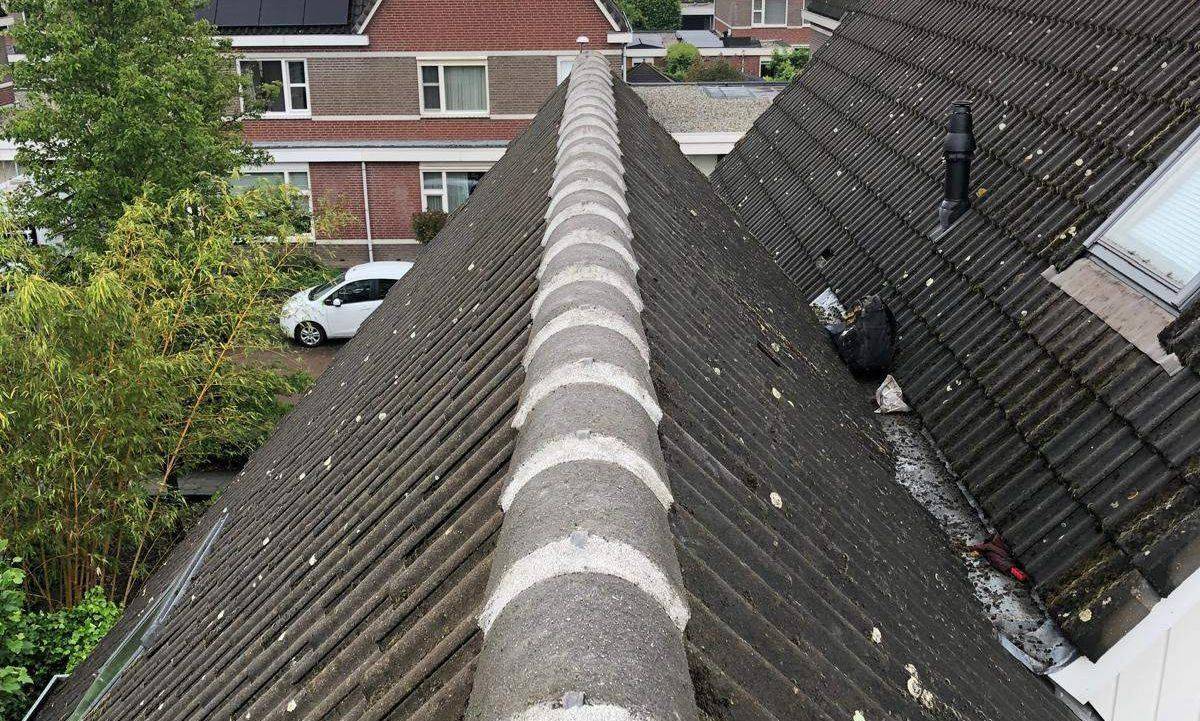 Nokvorsten Surhuisterveen
